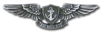 Enlisted Aviaton Warfare Specialist wings